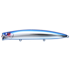 #01 BlueBlue