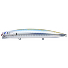 #16 Boshu Horse Mackerel