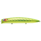 #23 Kiwi