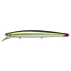 #12 Gold Mackerel