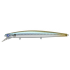 #16 Boshu Horse Mackerel