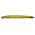 #12 Gold Mackerel