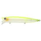 #03 Chart Back Pearl