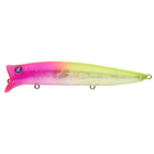 #08 Transparent Tropical