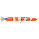 #10 Anemone Fish