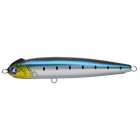 #27 Sardine