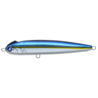 #38 Rainbow Runner