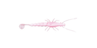Jelly Prawn