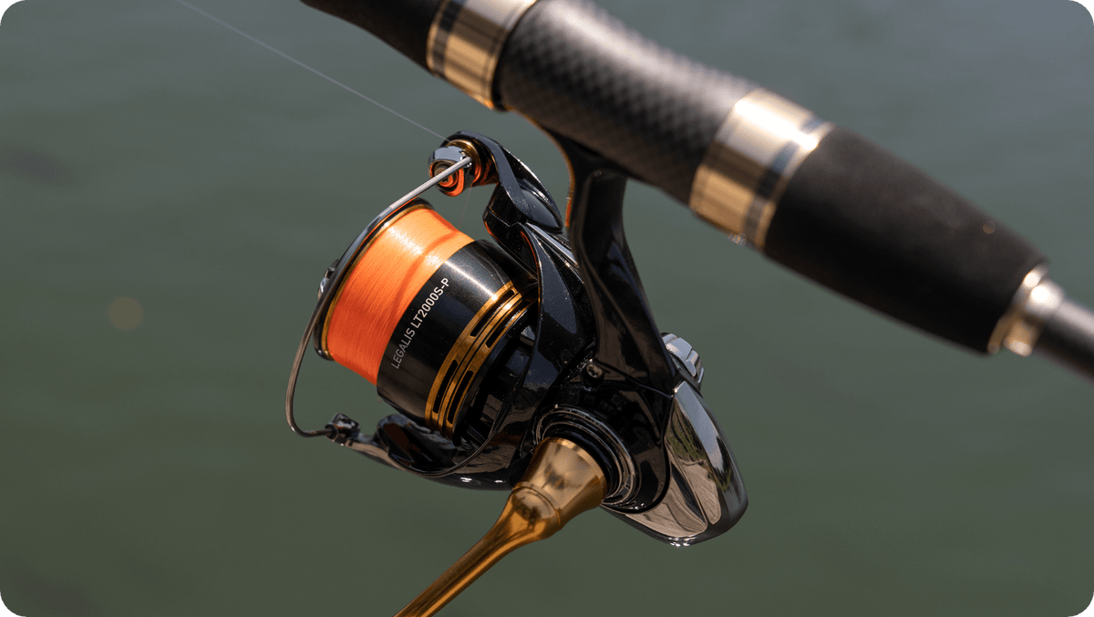 Daiwa 23 LEGALIS LT4000-CXH | Smooth Drag | Monster Fishing