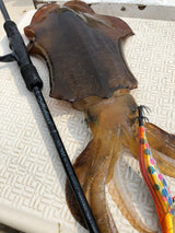 Yamaga Blanks - Mebius 79M Squid Rod