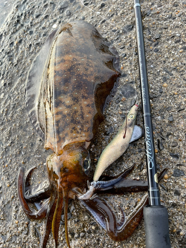 Yamaga Blanks - Mebius 79M Squid Rod