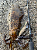 Yamaga Blanks - Mebius 79M Squid Rod