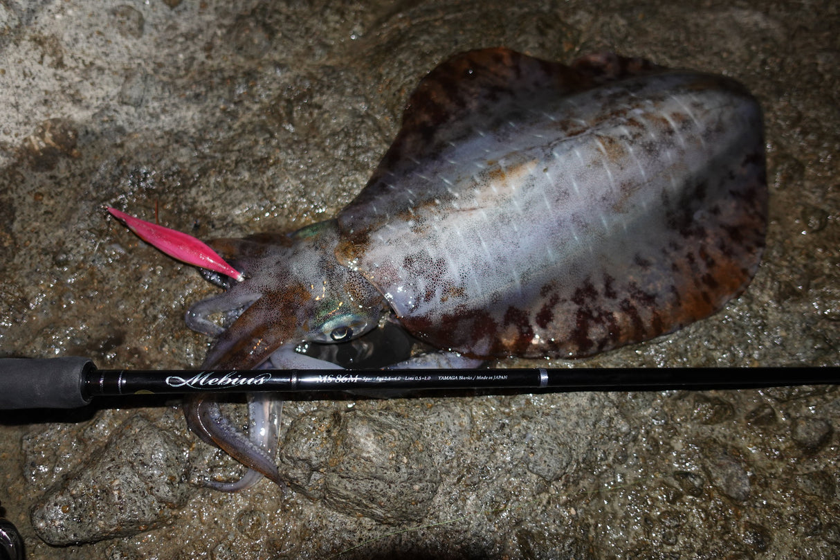 Yamaga Blanks - Mebius 86M Squid Rod