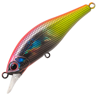 Palms - Alexandra 50HW