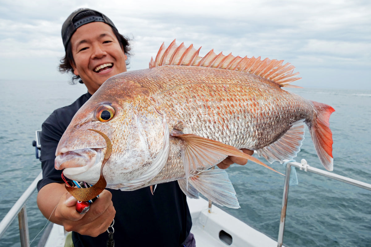 Snapper Lures