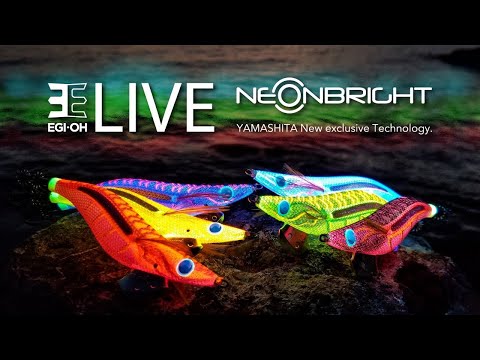 Yamashita - EGI OH LIVE Neon Bright