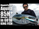 Ripple Fisher - Aquila MST 85-7+