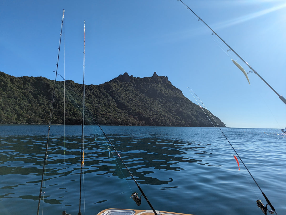 Rods and reels in the holders, Whangarei Heads behind