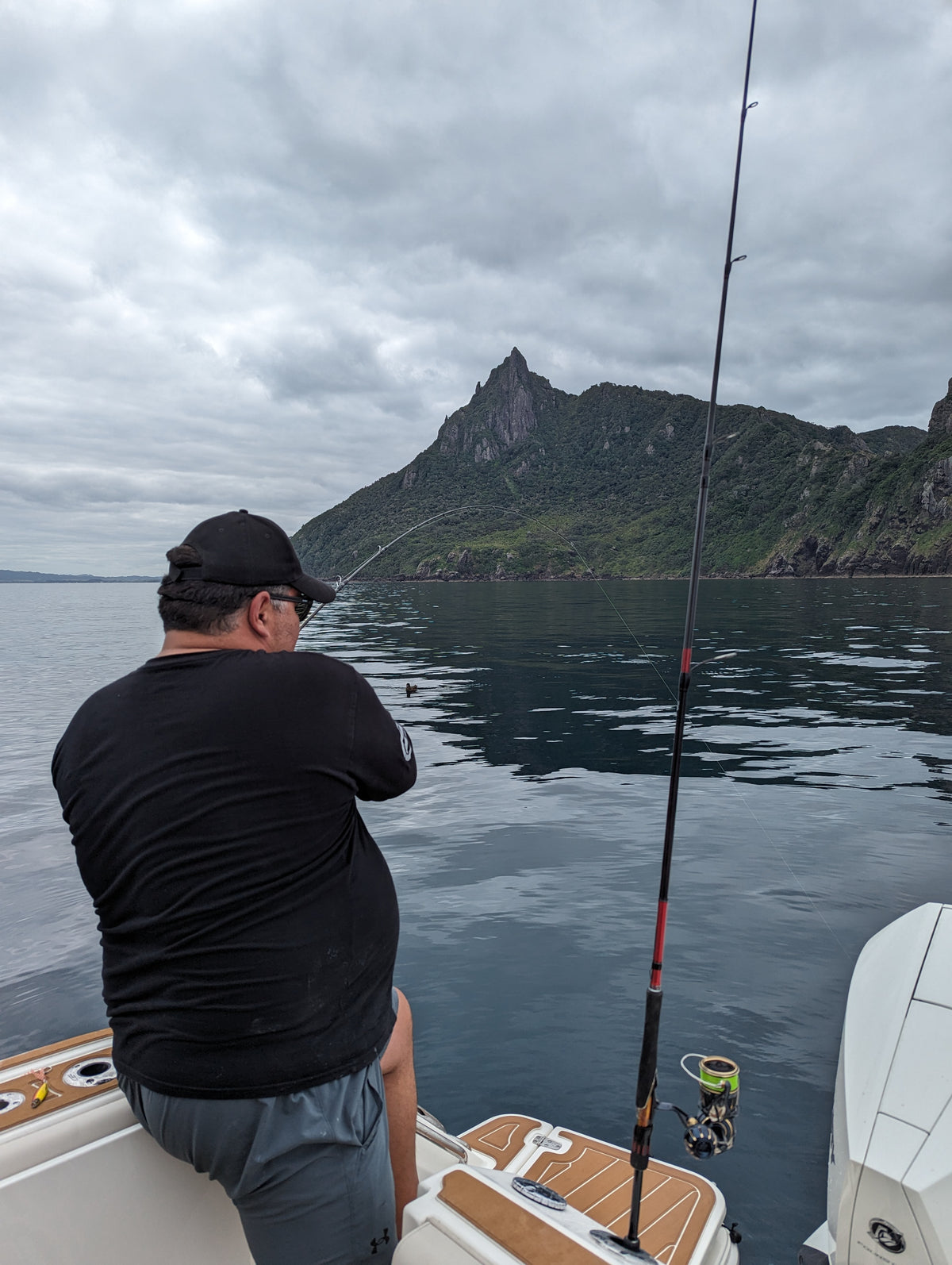 Assassin Jigmaster II Rods