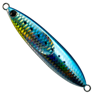 #H-10 Sardine