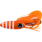 Zebra Orange