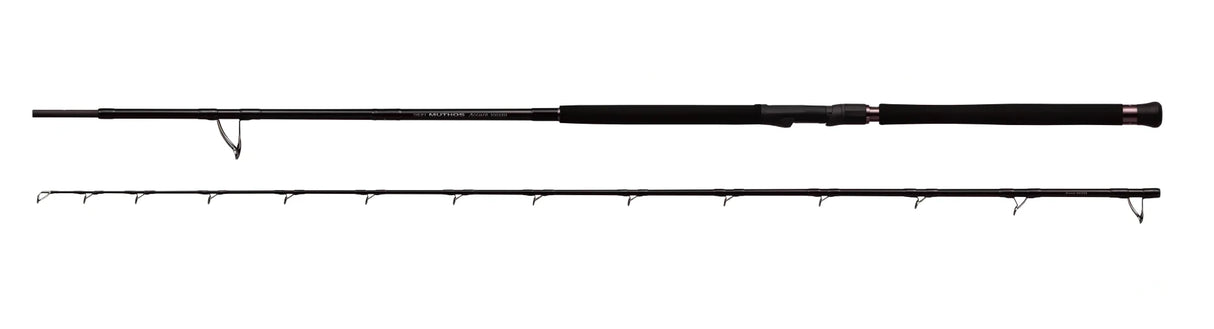 Zenaq - Muthos Accura 100HH Type R
