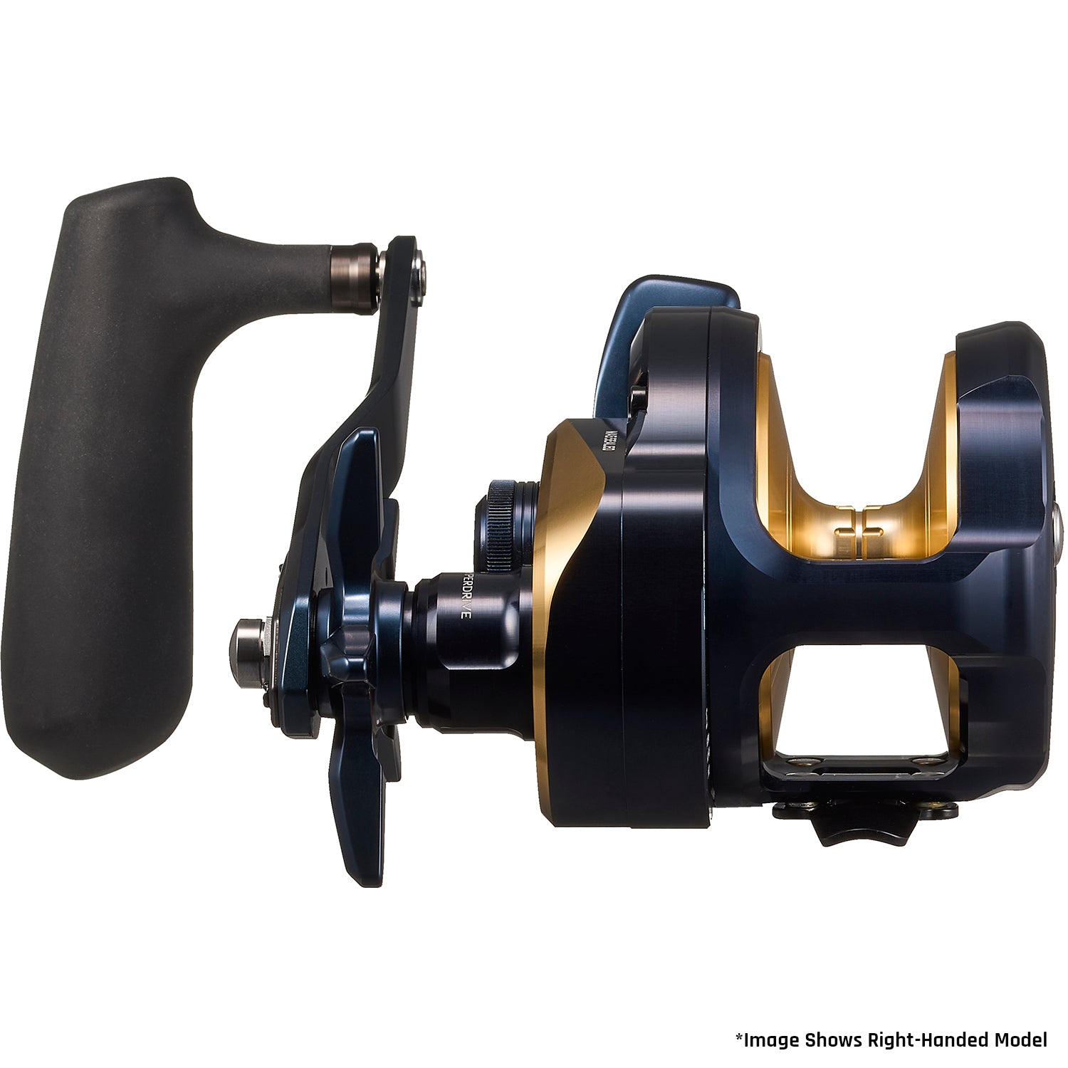 Daiwa 25 SALTIGA 35HL | Heavy Jigging | Monster Fishing