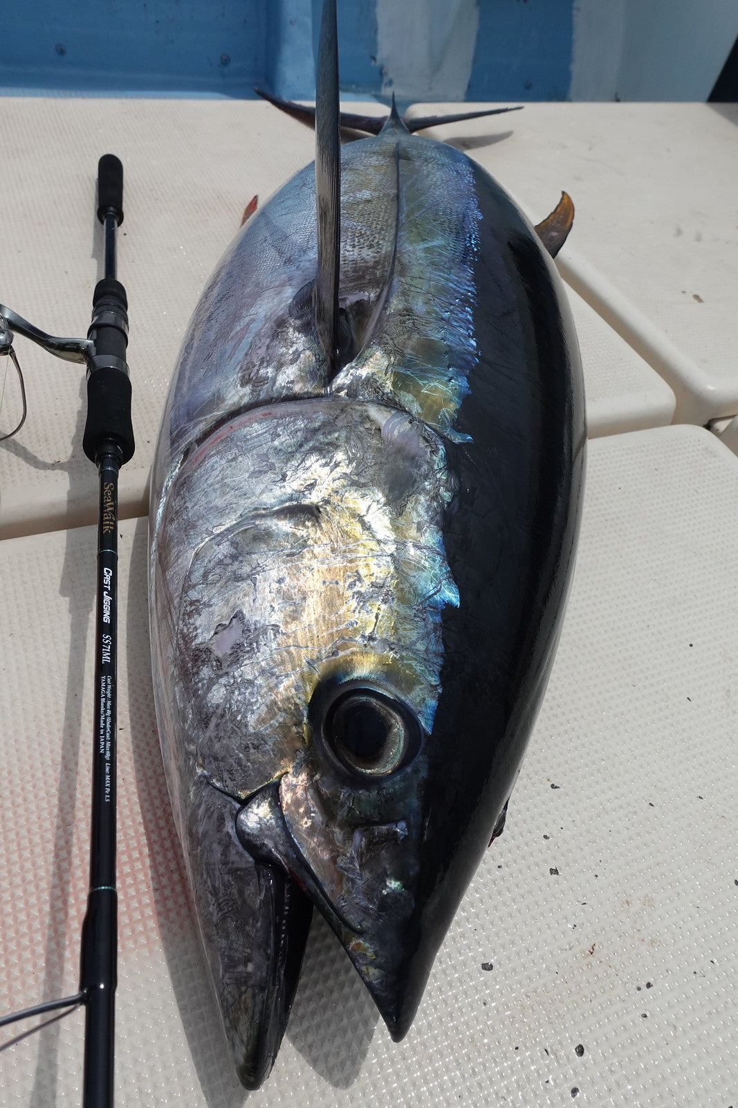 Yamaga Blanks - SeaWalk Cast Jigging Rod SS71ML