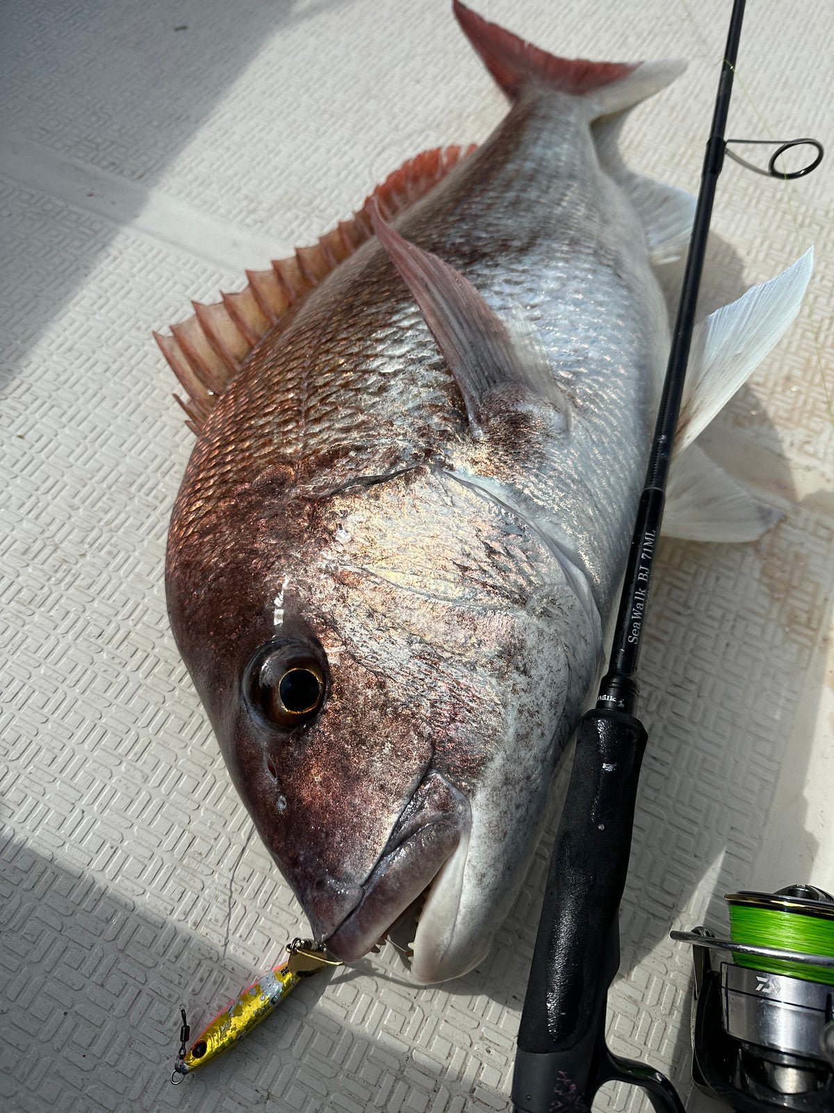 Yamaga Blanks - SeaWalk Cast Jigging Rod SS71ML
