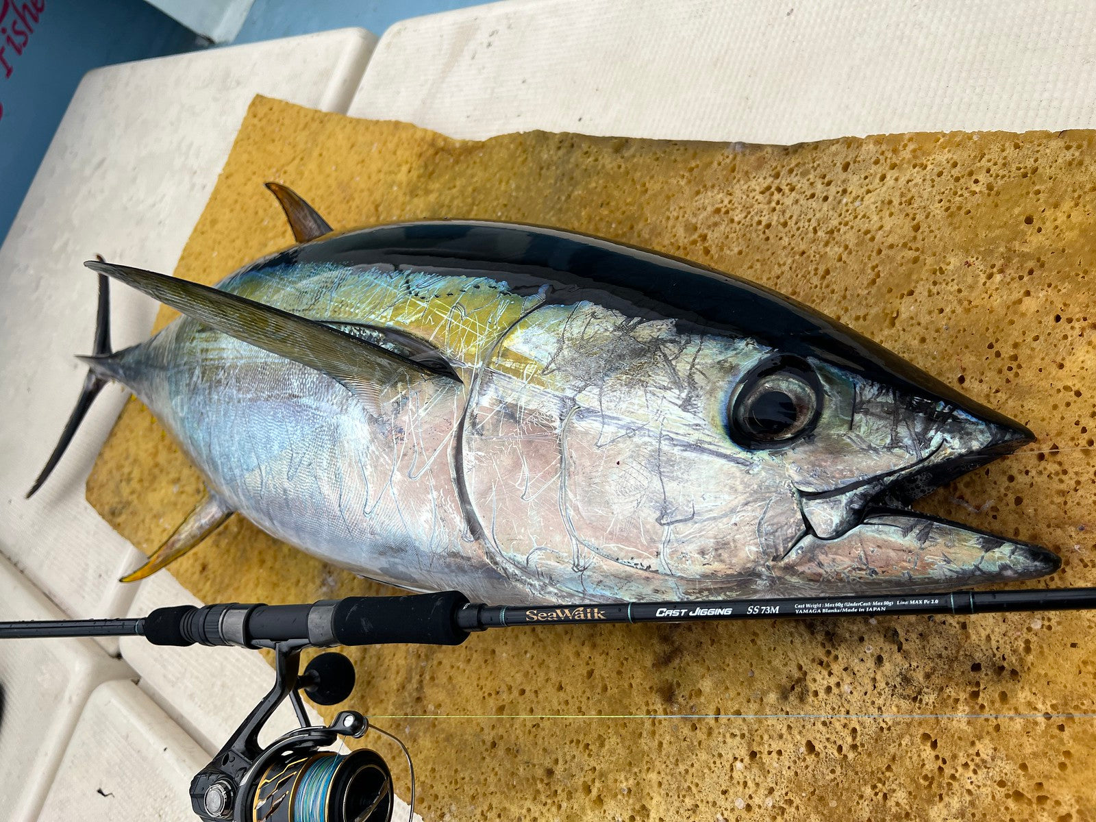 Yamaga Blanks - SeaWalk Cast Jigging Rod SS73M – Monster Fishing