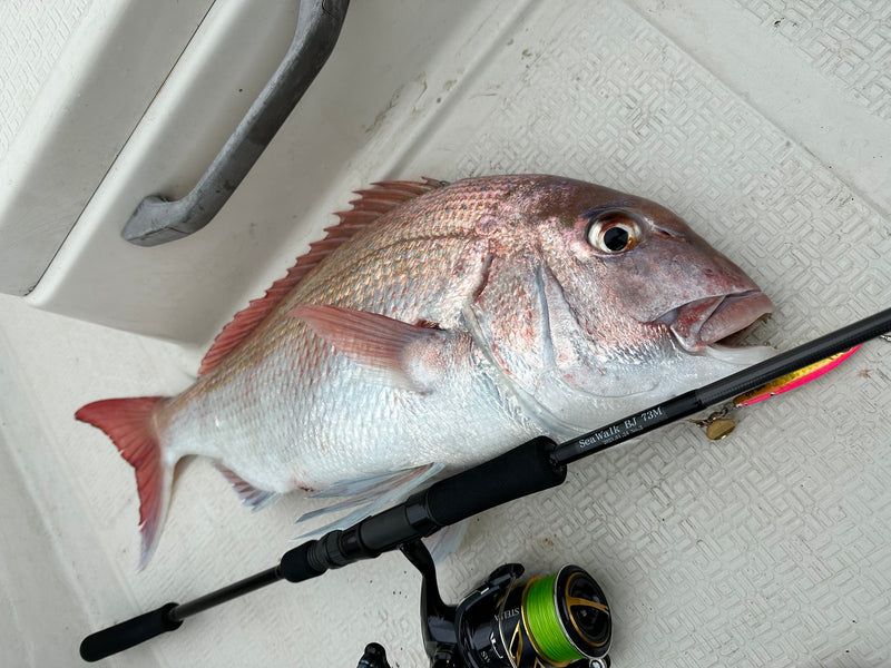 Yamaga Blanks - SeaWalk Cast Jigging Rod SS73M