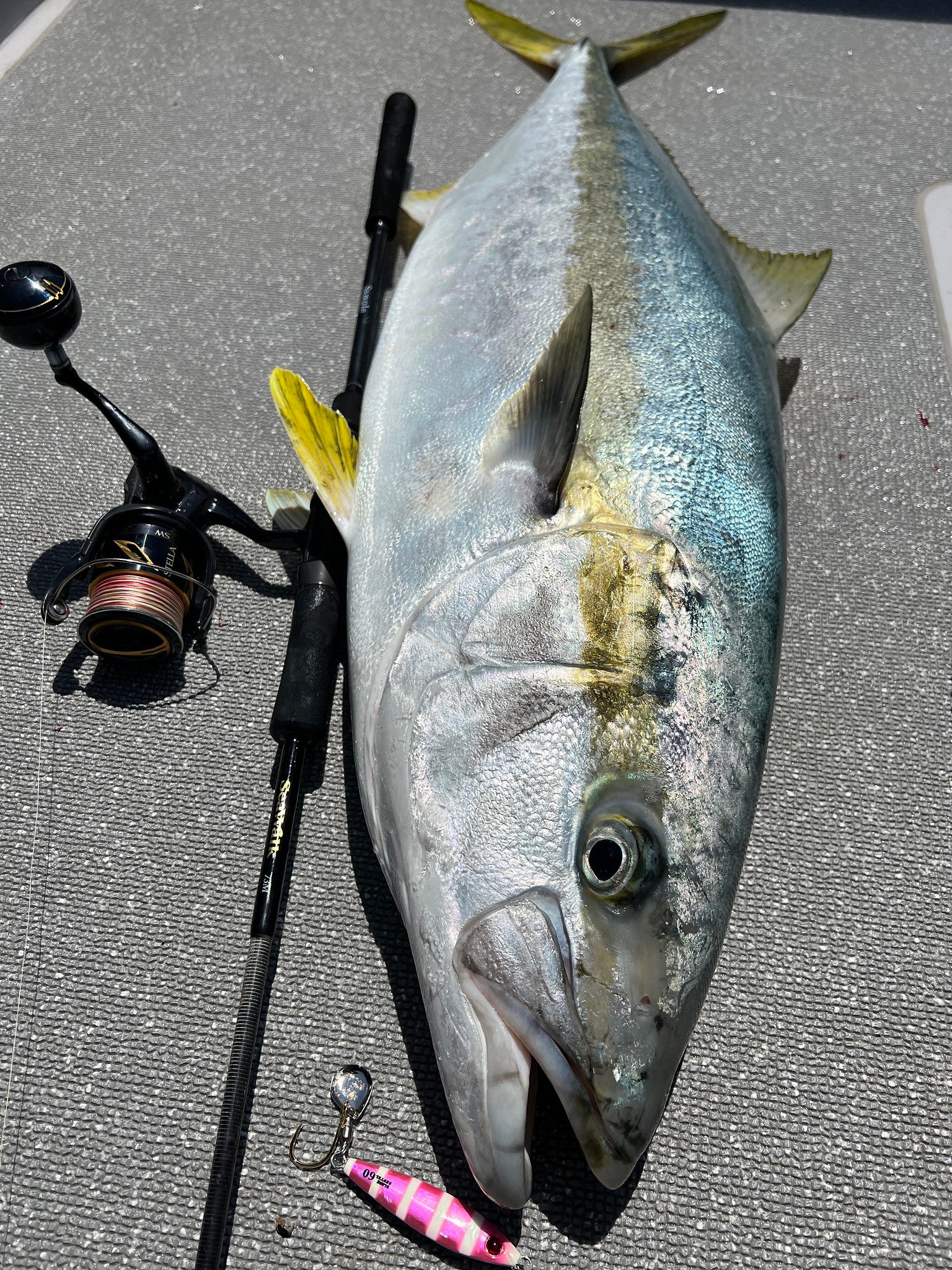 Yamaga Blanks - SeaWalk Cast Jigging Rod SS73M – Monster Fishing