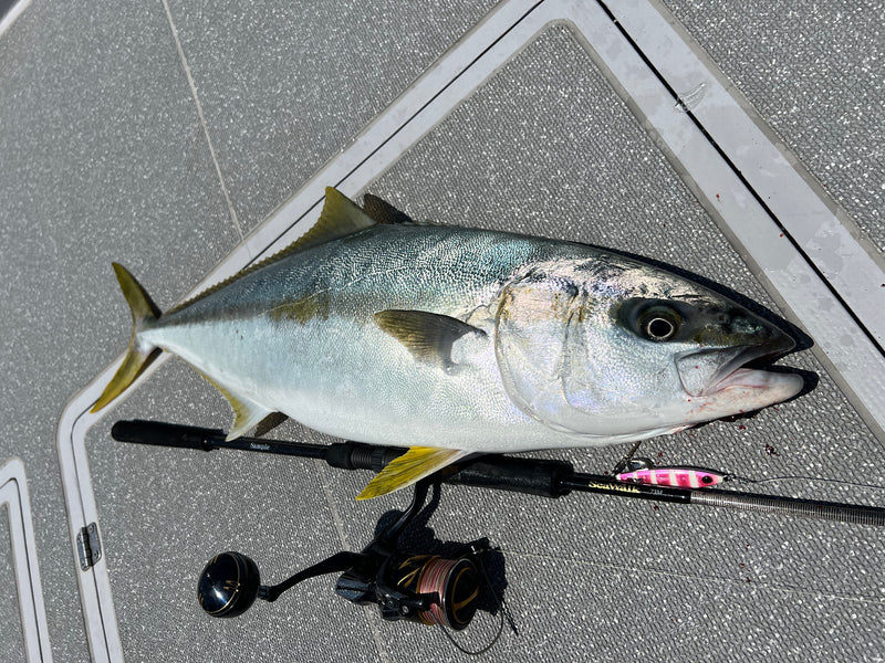 Yamaga Blanks - SeaWalk Cast Jigging Rod SS73M
