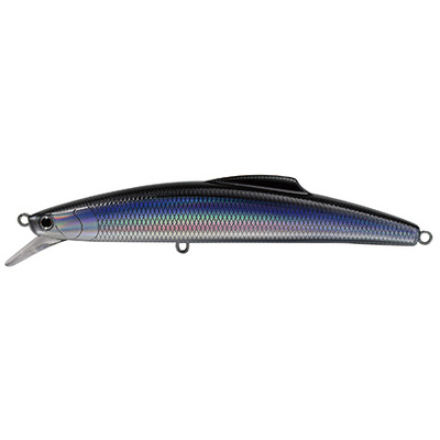 #1 Pacific Saury