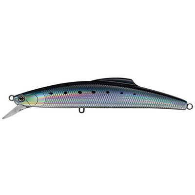 #2 Sardine HG