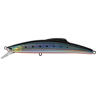 #6 Sardine Red Belly