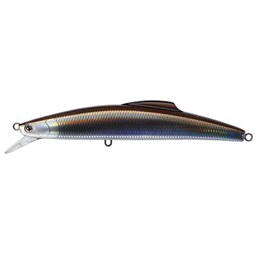#8 Silver-Stripe Round Herring