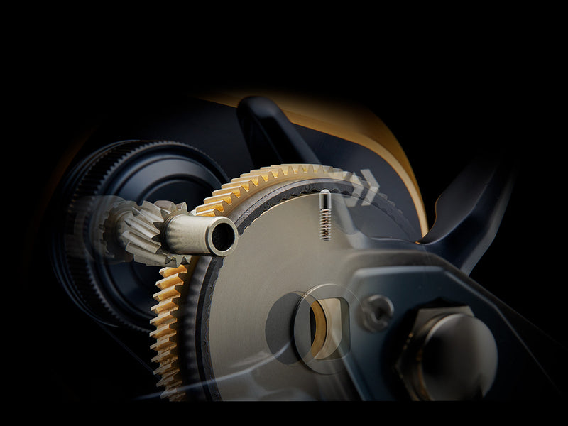 Daiwa - 25 SALTIGA 10