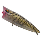 #T-88 Tiger Prawn