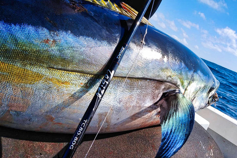 Zenaq - Tobizo TC86-110G Type R Topwater Rod