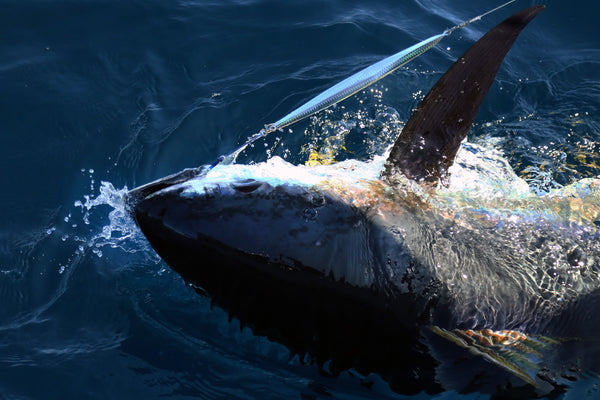 Tuna rod guide