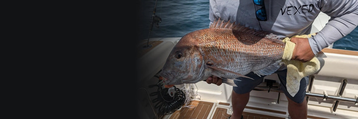 Angler holding a big snapper caught on a Vexed Bottom Meat