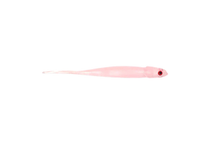 Jelly Prawn