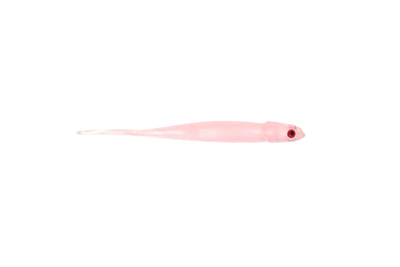 Jelly Prawn