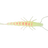 Glow