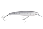 Silver Shadow