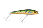 Trout Envy
