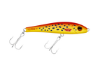 Coral Trout