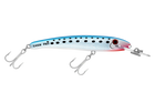 Pilchard