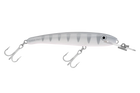 Silver Shadow